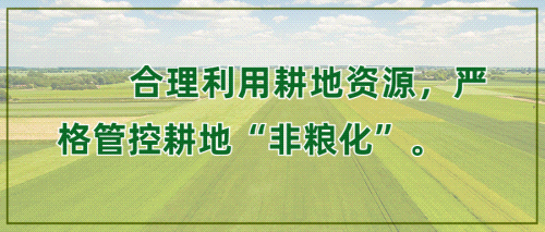 校园篮球赛组织流程规则_校园篮球比赛规程_校园篮球比赛流程