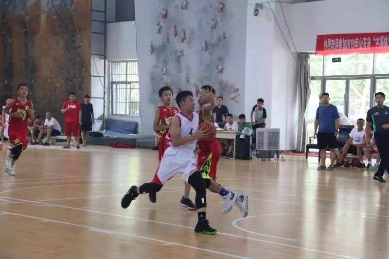 阳光小学篮球队_2019小学篮球比赛_阳新小学篮球比赛冠军是谁