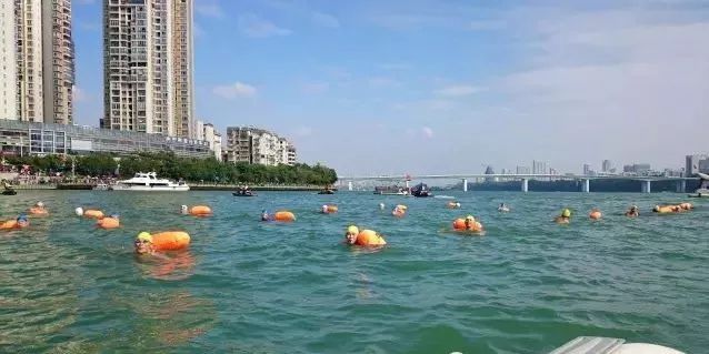 游泳比赛蛙泳犯规吗_游泳比赛的技巧和注意事项蛙泳_蛙泳比赛的规则是什么