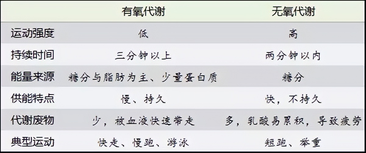 需要进行运动氧疗的标准是什么_有氧运动初步_氧运动有哪些项目