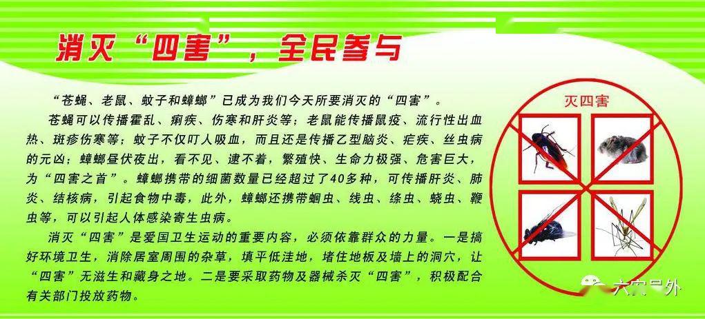 生活小常识蟑螂_蟑螂小知识_蟑螂生活小妙招