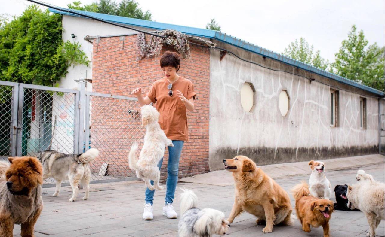 邓超和孙俪的家在哪_孙俪邓超家庭日常_孙俪邓超的全家福